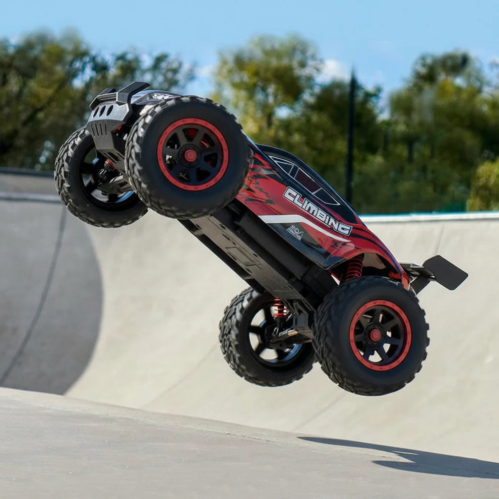 RC-Auto Cheetah